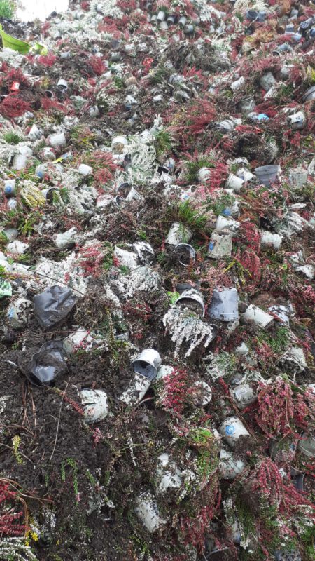 Topfpflanzenrecycling: Topfpflanzen samt Topf als Mischfraktion bei BERK Recycling